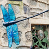 Wall art - wall mounted dragonfly