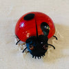Blown Glass - sculpture 'Ladybug'