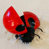 Blown Glass - sculpture 'Ladybug'