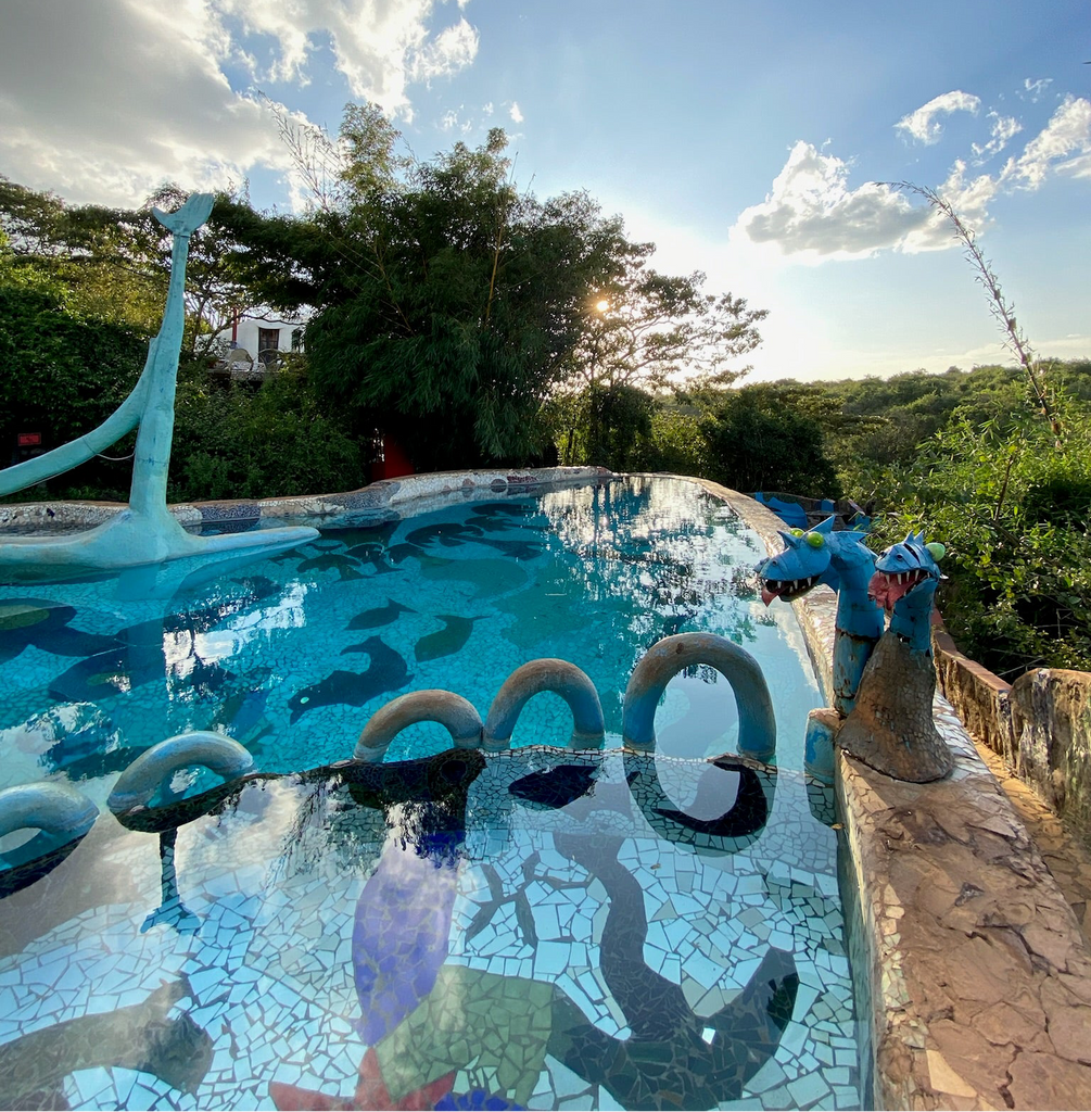 experience - swim with dragons