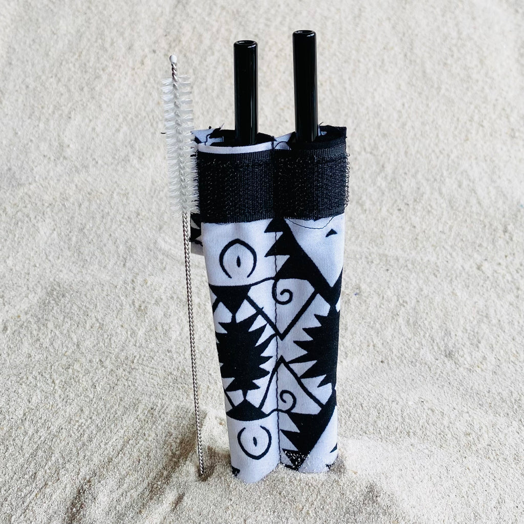 Glass straws - 2 in pouch