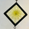 Garden Jewellery sections - plate