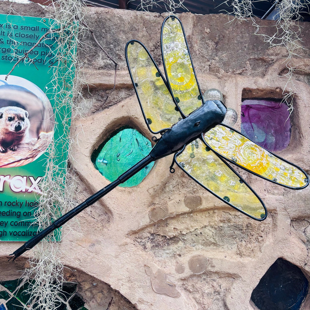 Wall art - wall mounted dragonfly