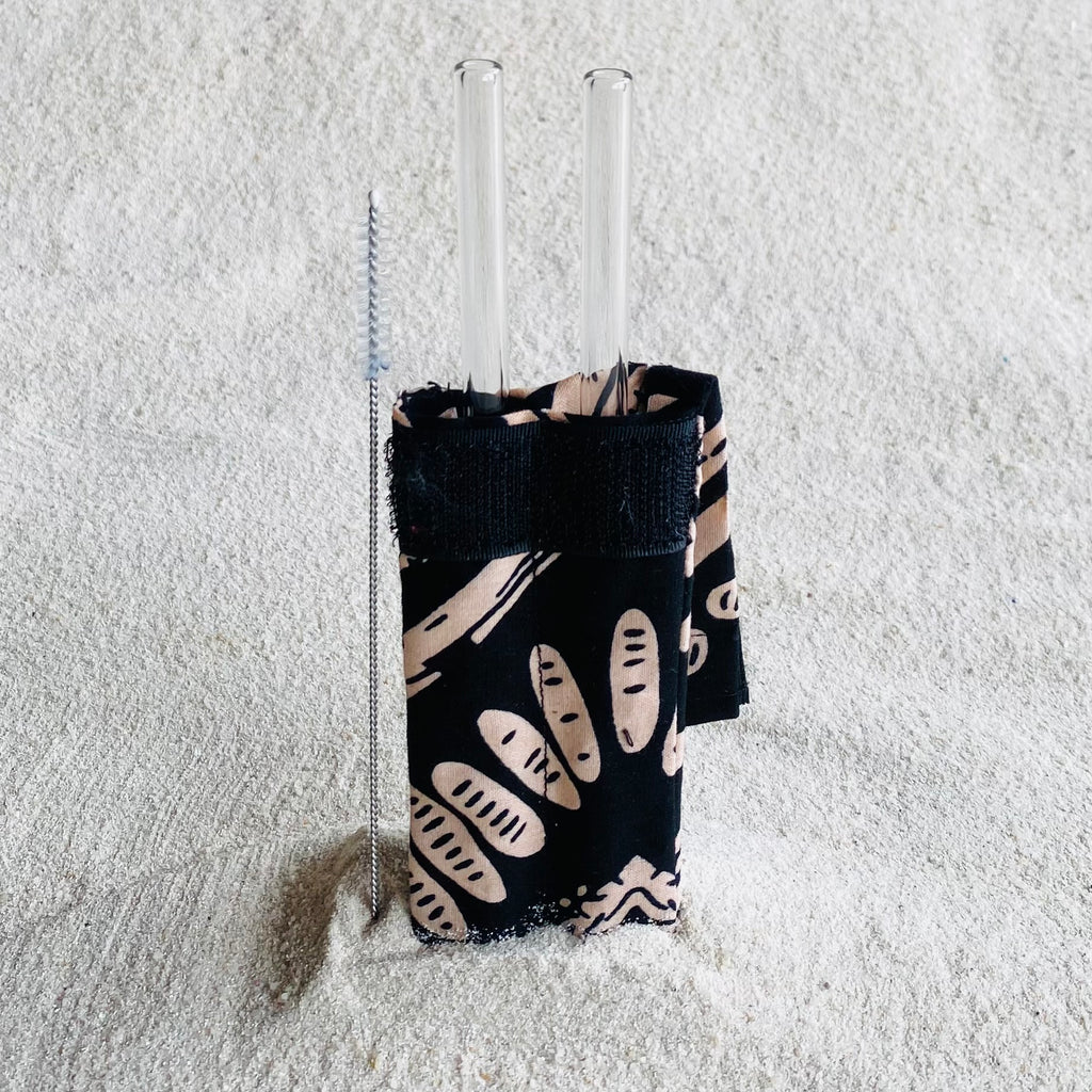 Glass straws - 2 in pouch