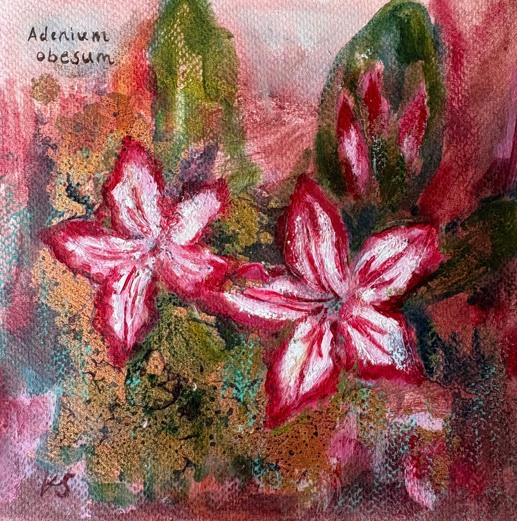 Painting - Katie Simpson ‘Desert Rose’ - mixed media on paper, framed behind glass - 33cm x 33cm 2026