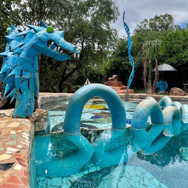 experience - swim with dragons