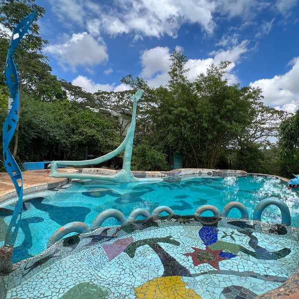 experience - swim with dragons