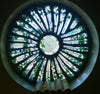 Dalle de Verre 'Palmed Off' panels ~ 0.8 - 1m dia