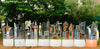 Funky Fencing 12 screens 'Cityscapes' ~ 1 x 2m