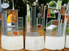 Funky Fencing 12 screens 'Cityscapes' ~ 1 x 2m