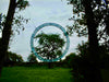 Sculpture 'Ring' ~ 5m diameter